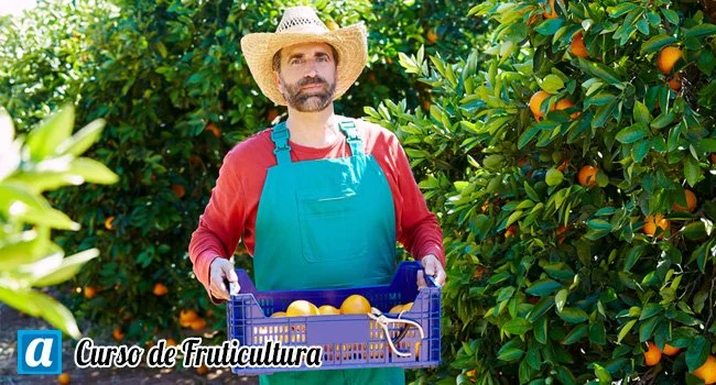 Curso de Fruticultura