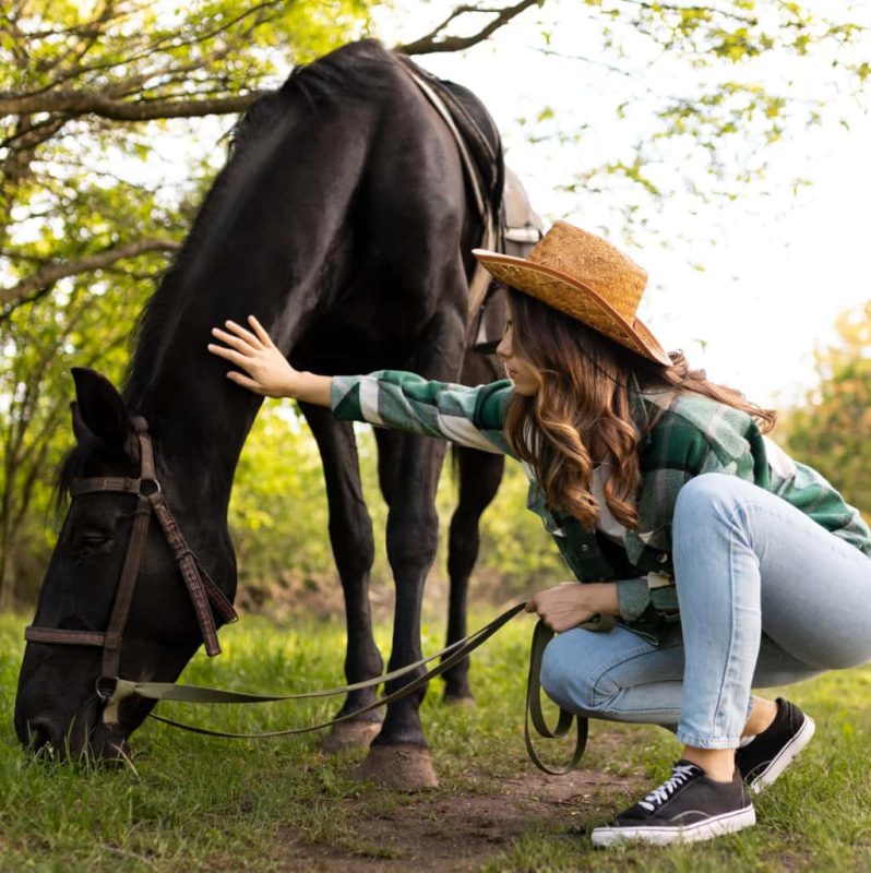 Cuidador de caballos: Aprende a cuidar tu caballos o conviértelo en tu profesión